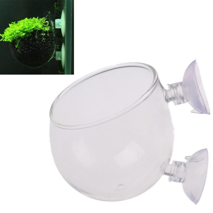 Aquarium Mini Kristall Glas Topf Wasser Topf Aquatische Pflanzen Zylinder Tasse one size