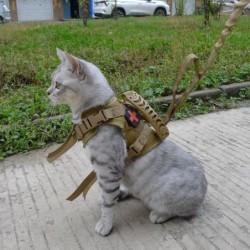 Taktisches Katzen-Kleinhundehalsbandgeschirr, verstellbar, 600D Nylon, für Haustiere, Traktion, Kätzchen, ausbruchsichere Kat
