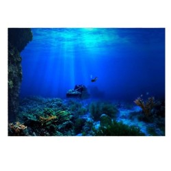Selbstklebendes Seaworld-Hintergrundposter für die Dekoration von Aquarien, 91 x 50 cm