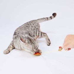 Petio Katzenspielzeug Loofa Leder Zahnspielzeug Schnur Orange orange