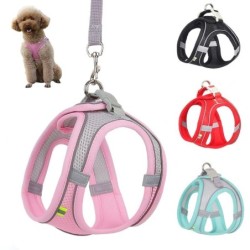 Hundegeschirr-Leine-Set für kleine Hunde, verstellbares Welpen-Katzengeschirr, Weste, französische Bulldogge, Chihuahua, Mops