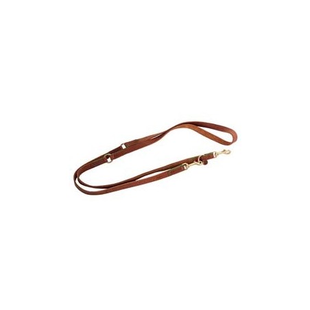 Cloud7® Hundeleine Kings Park cognac/green, Breite: ca. 2 cm, Länge: ca. 220 cm