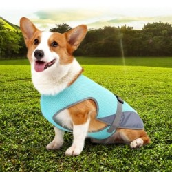 Kühles Sommerkleid für Hunde, leicht, atmungsaktiv, für Aktivitäten und Reisen S