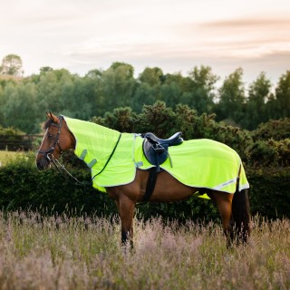 Horseware Amigo Flyrider