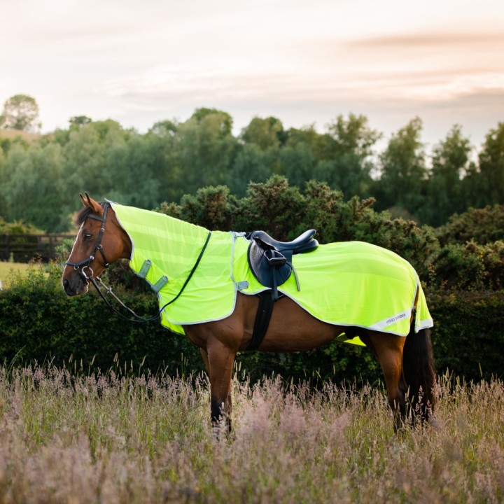 Horseware Amigo Flyrider
