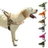 Hundegeschirr ohne Ziehen, Netzfutter, verstellbare Trainingsweste für das Spazierengehen mit Haustieren, für kleine, mittelg