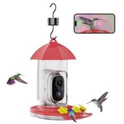 Intelligenter Kolibri-Futterspender mit Kamera, solarbetrieben, kabellos, für den Außenbereich, Vogelfutterspender mit Ameise