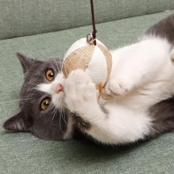 1PC Teaser Feder Spielzeug Kätzchen Lustige Bunte Stange Katze Zauberstab Spielzeug Holz Haustier Katze Spielzeug Interaktive