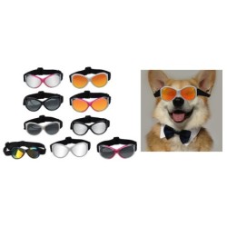 Haustier-Sonnenbrillenschutz für mittelgroße oder große Hunde für den nördlichen Bereich mit verstellbarem Riemen für Outdoor