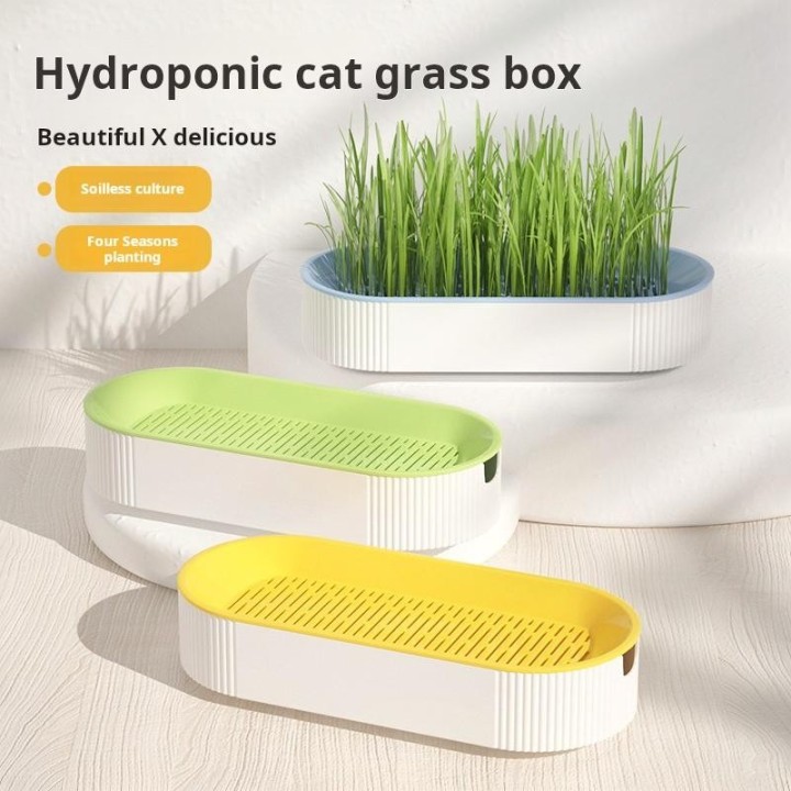 Hydroponische Katzengrasbox, Katzenleckerli, Katzenminze, hydroponisches, erdloses Pflanzset für Katzengras, Topfset für einf