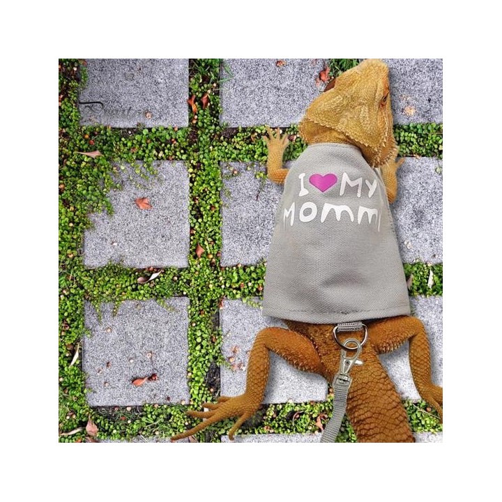 Leinen-Geschirr-Set für Eidechsen, Reptilien, verstellbar, Kleintier-Geschirr mit Zugseil für Bartagamen, Chamäleons, Spazier