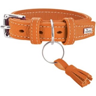 Hunter Halsband Cannes orange 40 cm