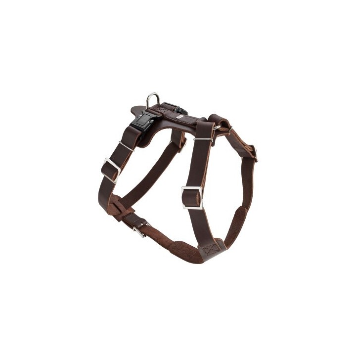 Hunter Geschirr Aalborg dunkelbraun M-L