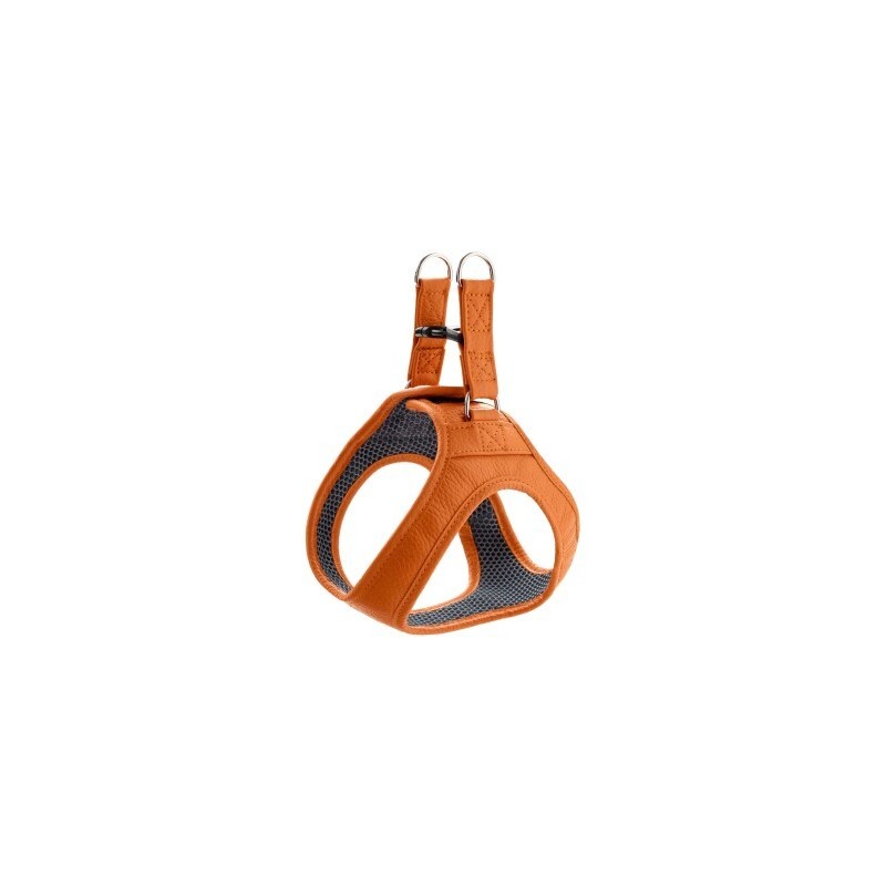 Hunter Geschirr Hilo orange XXS-XS
