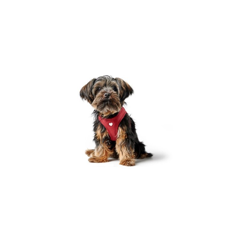 Hunter Geschirr Love 20 cm