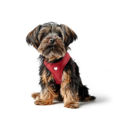 Hunter Geschirr Love 20 cm