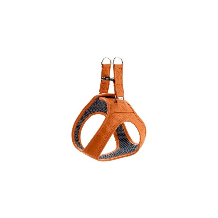 Hunter Geschirr Hilo orange S