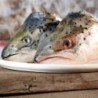 Lachsköpfe 2 Stück Beutel