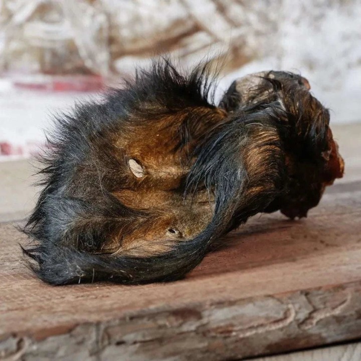 Rinderohr mit Fell, mit Muschel 1 Stück Beutel