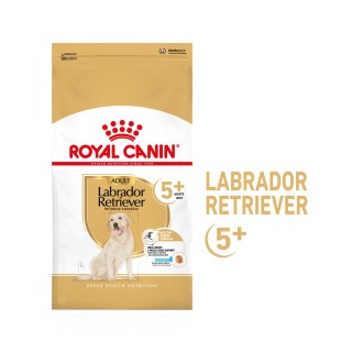 Royal Canin Labrador Retriever Adult 5+ Hundefutter - 12 kg