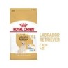 Royal Canin Labrador Retriever Adult 5+ Hundefutter - 12 kg