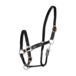 Waldhausen GmbH Waldhausen STAR Lederhalfter Robust Pony