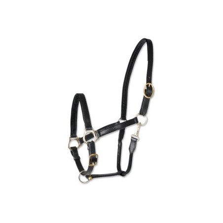 Waldhausen GmbH Waldhausen STAR Lederhalfter Robust Pony
