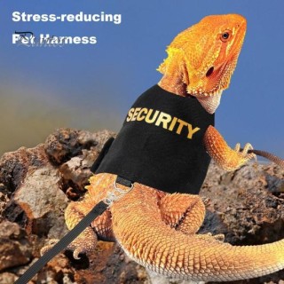 Leinengeschirr für Eidechsen, atmungsaktiv, weich gepolstert, Weste für Reptilien und Bartagamen, Oberteil mit Klettverschlus