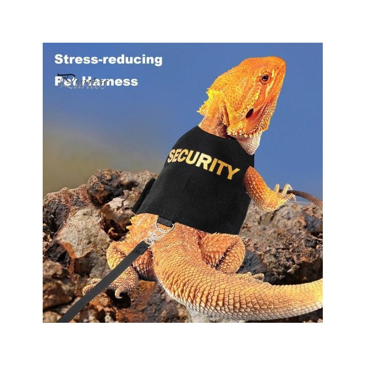 Leinengeschirr für Eidechsen, atmungsaktiv, weich gepolstert, Weste für Reptilien und Bartagamen, Oberteil mit Klettverschlus