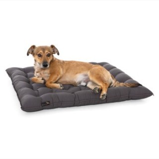 Doctor Bark Pointer Urban Kissen grau XXXL