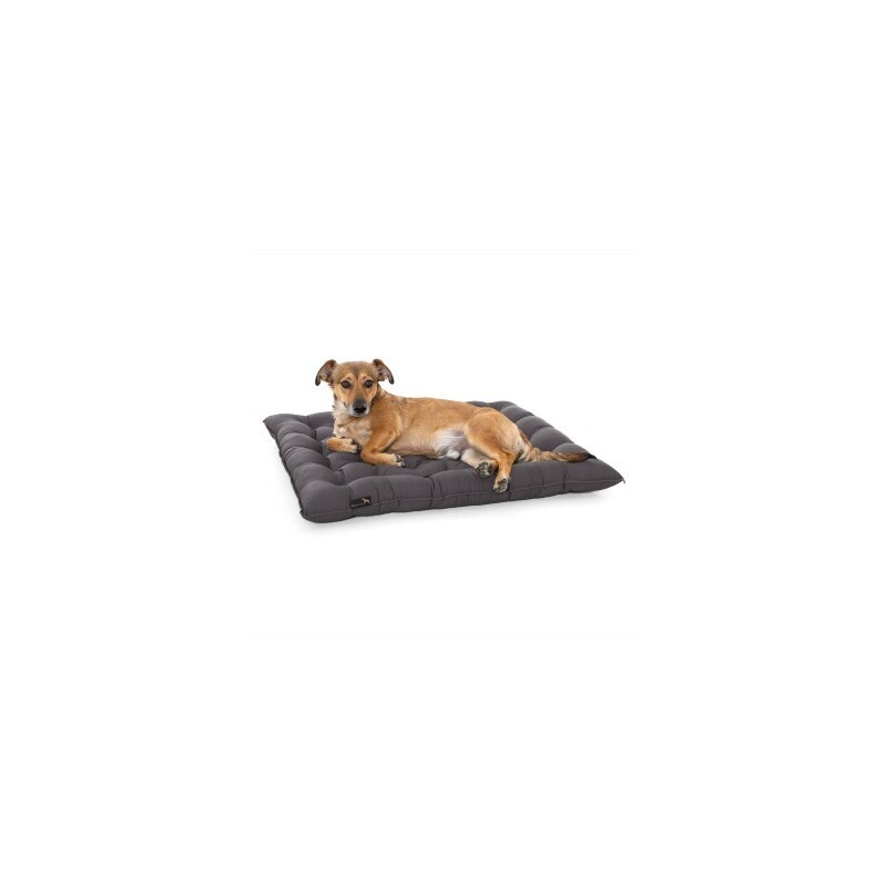 Doctor Bark Pointer Urban Kissen grau XXXL