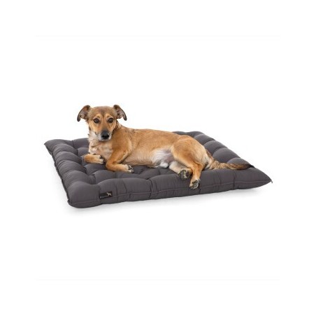 Doctor Bark Pointer Urban Kissen grau XXXL