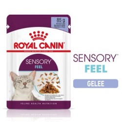 ROYAL CANIN SENSORY Feel in Gelee für wählerische Katzen 12x85g