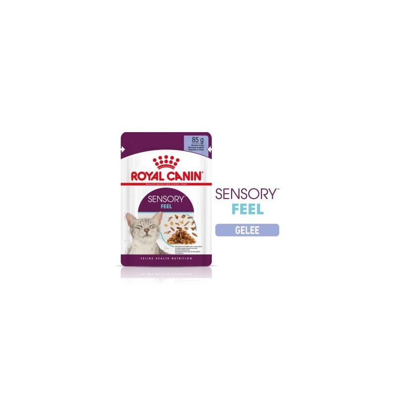ROYAL CANIN SENSORY Feel in Gelee für wählerische Katzen 12x85g