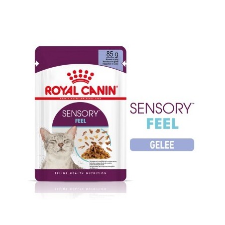 ROYAL CANIN SENSORY Feel in Gelee für wählerische Katzen 12x85g