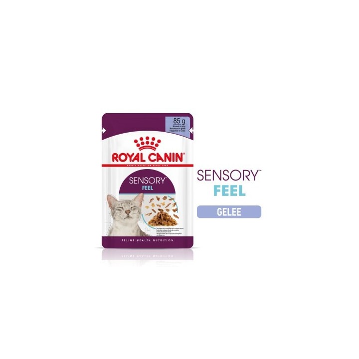 ROYAL CANIN SENSORY Feel in Gelee für wählerische Katzen 12x85g
