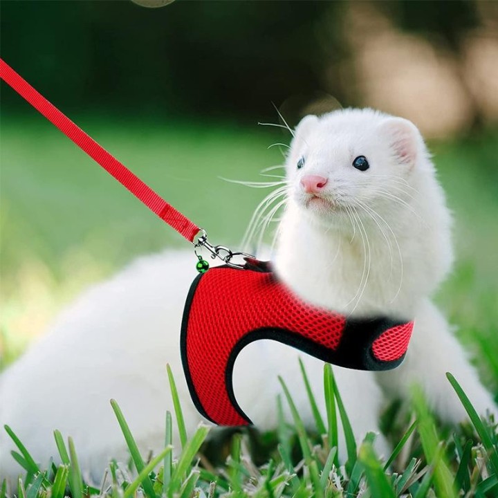 Mesh Atmungsaktiv Frettchen Hase Geschirr Leine Set für Kleine Tiere Kaninchen Hamster Sommer Walking Haustier Blei mascotas