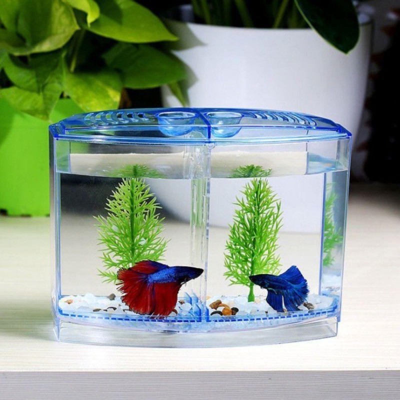 Transparente Doppelgitter-Isolationsbox für Bettas, Isolationsbox für die Fischzucht, Brut- und Zuchtbox S