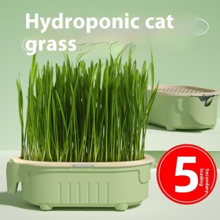 Natürliches Katzengras-Anbauset, Bio-Weizengrassamen, Verdauungsfördernde Haarballen, Blumenerde-Set