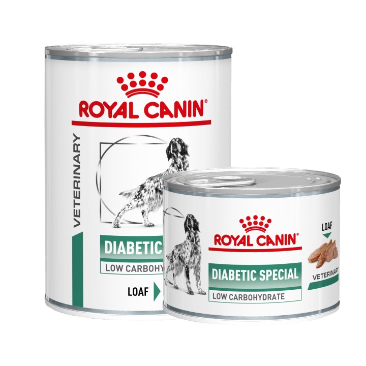 Royal Canin Diabetic Hundefutter - Dosen - 12 x 410 g