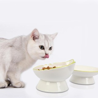 Erhöhter Katzennapf, erhöhter Katzenfutternapf, stabil, schützt die Wirbelsäule des Haustiers, langlebiger Futternapf für Hau