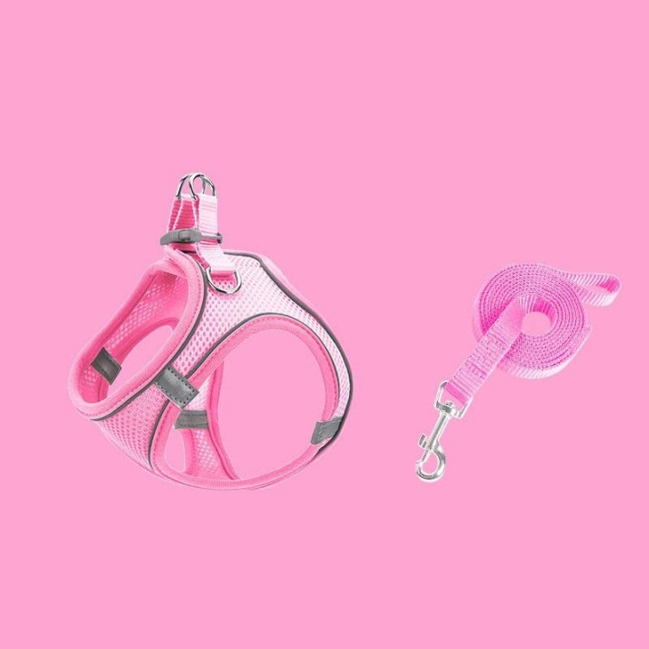 Verstellbarer Anti-Flucht-Gürtel für kleine Katzen, Kätzchengeschirr, leicht, atmungsaktiv, weich, Haustierweste, Kabelbaum,