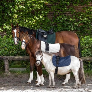 Waldhausen Schabracke Felix