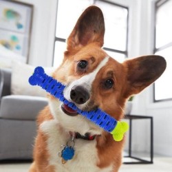 SHOP-STORY - KAUBRUST : L'os à Mâcher Anti-Tartre pour Chien