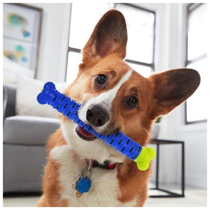 SHOP-STORY - KAUBRUST : L'os à Mâcher Anti-Tartre pour Chien
