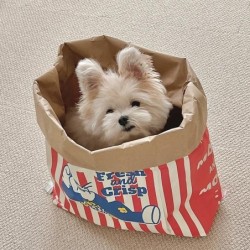 Kreatives süßes verstecktes Futter für Haustiere, Katzen und Hunde, Kraftpapier, Popcorn, Papiertüte, Puzzle, Dekompressionsg