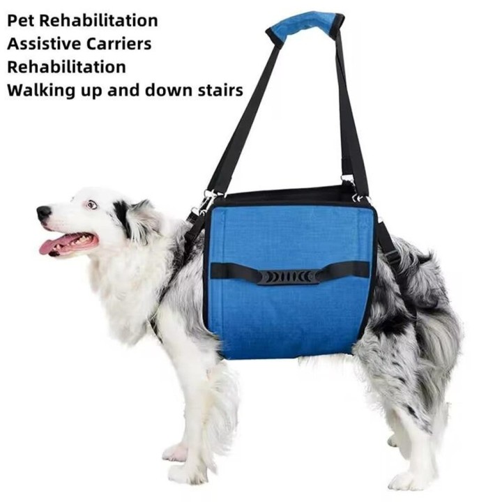 Bauchstütze zum Tragen von Haustieren, Tragetuch, Notfall-Hebegurt für Hunde, Gehhilfegürtel für ältere Hunde, behinderte Hun