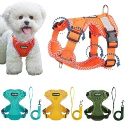 Set aus Hundegeschirr und Leine mit 4-Punkt-Einstellung für kleine Hunde, reflektierendes Netz-Hundegeschirr, Weste, Brustgur