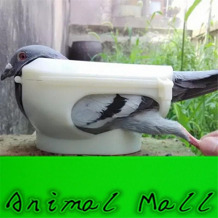 Taubenhalter Columba Vogelkleidung gegeben Medikamente Gerät Vogelwerkzeuge weiße Taube Einzelhandel weiß