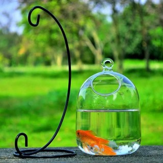 Hydroponische Wandbehang Blase Aquarium Fisch Glas Diy Topf Vase Pflanze Home Decor weiß